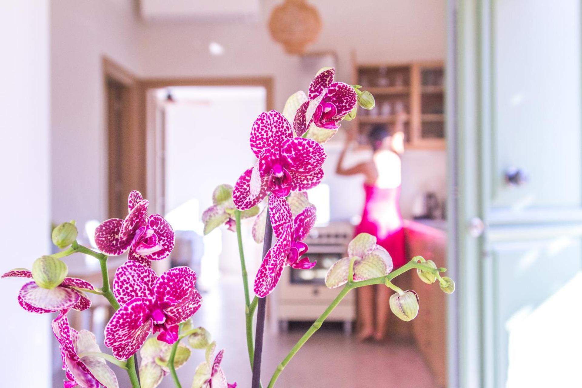 Petra Boutique Villas Arginonda Стая снимка
